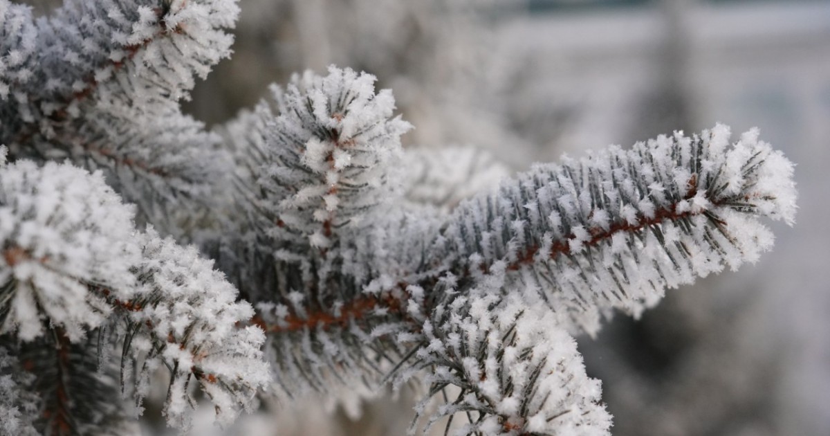 Ескерту: Алдағы үш күнде бірқатар өңірде аяз 40 градусқа жетеді