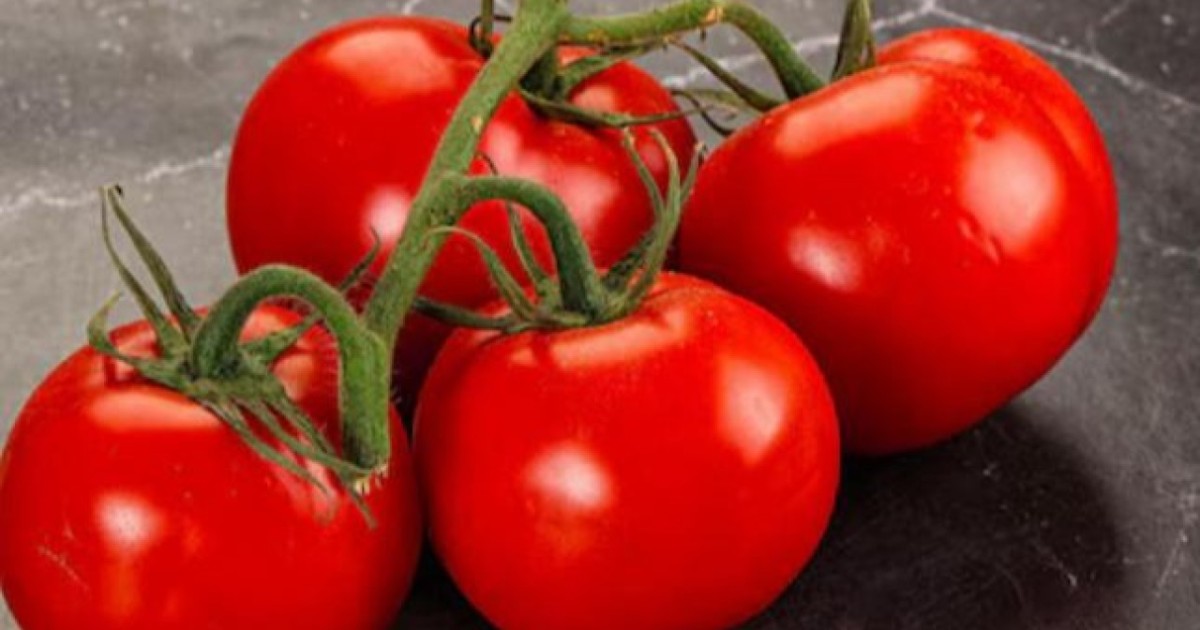 Вирусты қызанақ тұқымы: Астана әуежайында карантинге жатқызылған өнімді әкелу фактісі анықталды