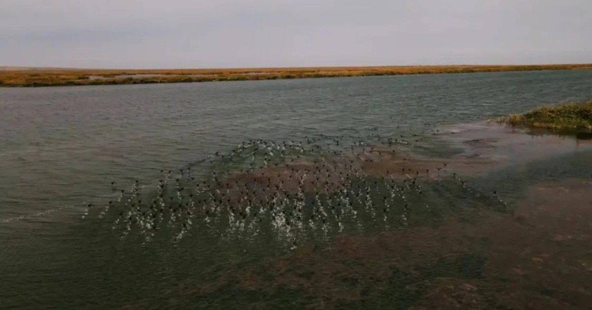 Солтүстік Аралдың көлемін 34 км³ дейін ұлғайту жоспарланып отыр – министр