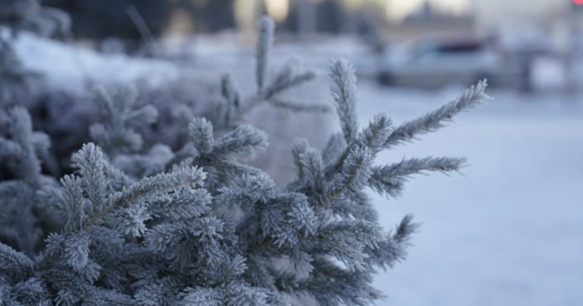 Еліміздің солтүстігінде 30-35 градус аяз болады