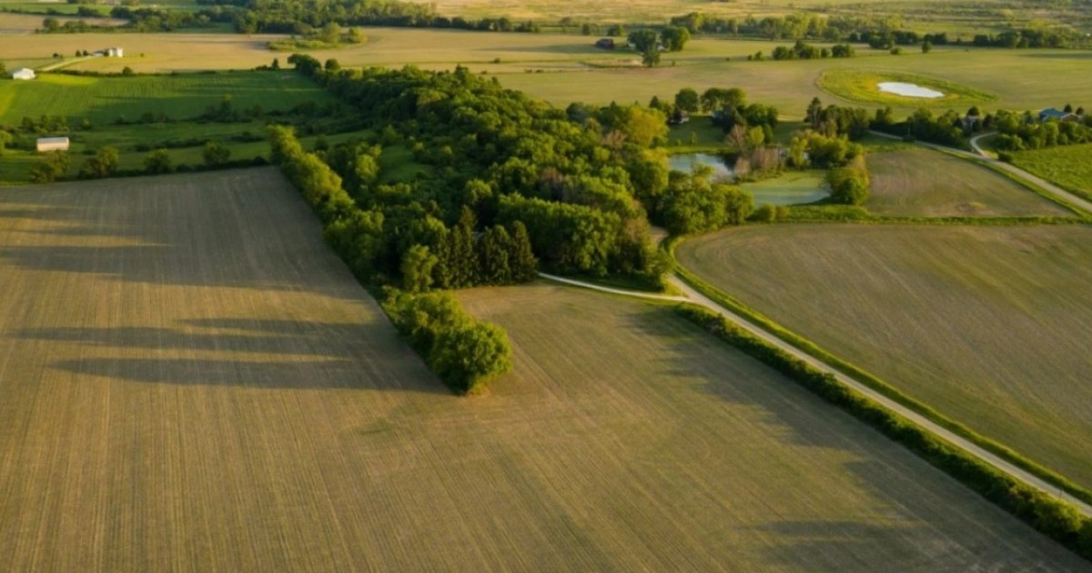 Жер учаскесін сату, оның нысаналы мақсатын өзгертуді eGov.kz-те рәсімдеуге болады