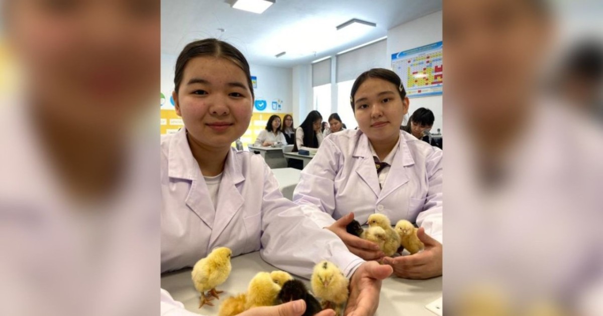 Астаналық оқушылар ойлап тапқан инкубатор балапан шығарды