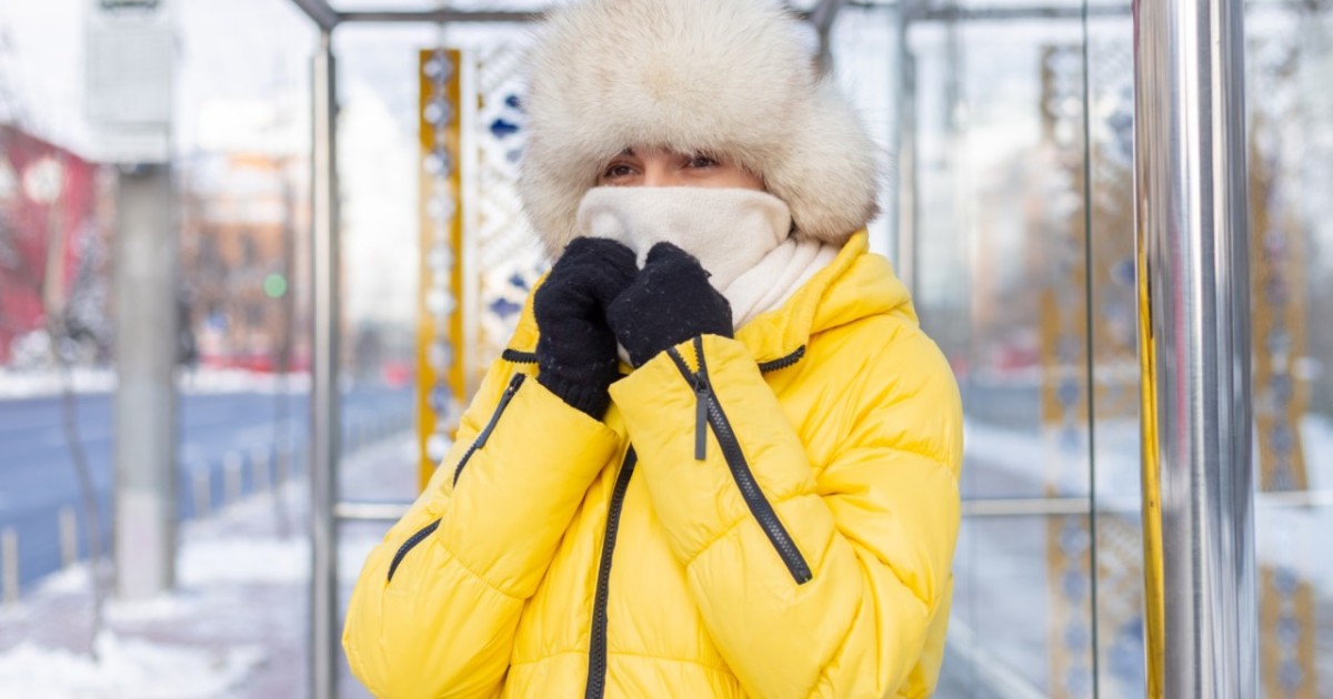 Елімізде қоғамдық жұмыстарды қадағалау күшейтіледі