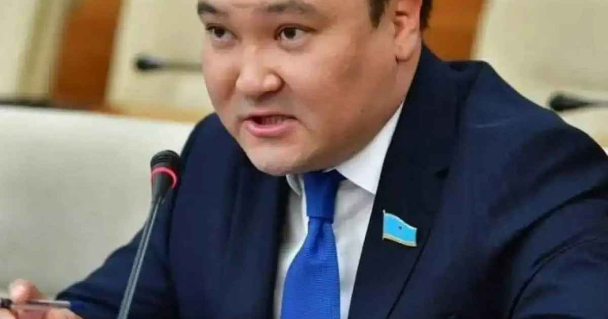 Халық кеңесі арқылы қоғамның кең топтарын саяси өмірге тарту мүмкіндігі туады