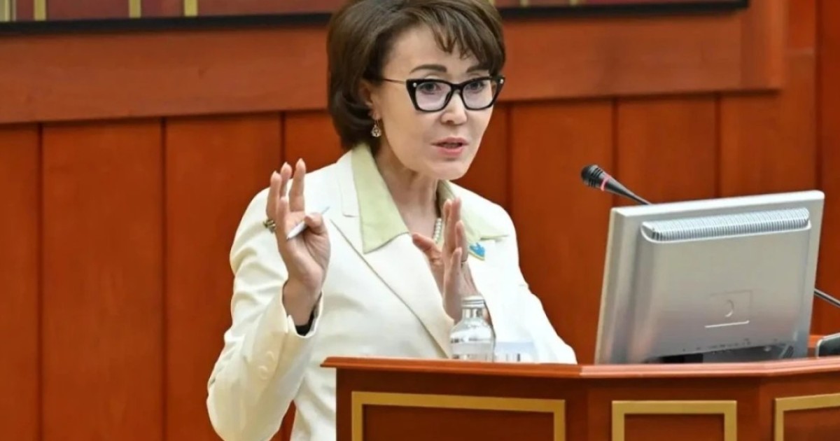 Үнзила Шапақ: Конституция жобасы БҰҰ қағидаттарына сәйкес келеді