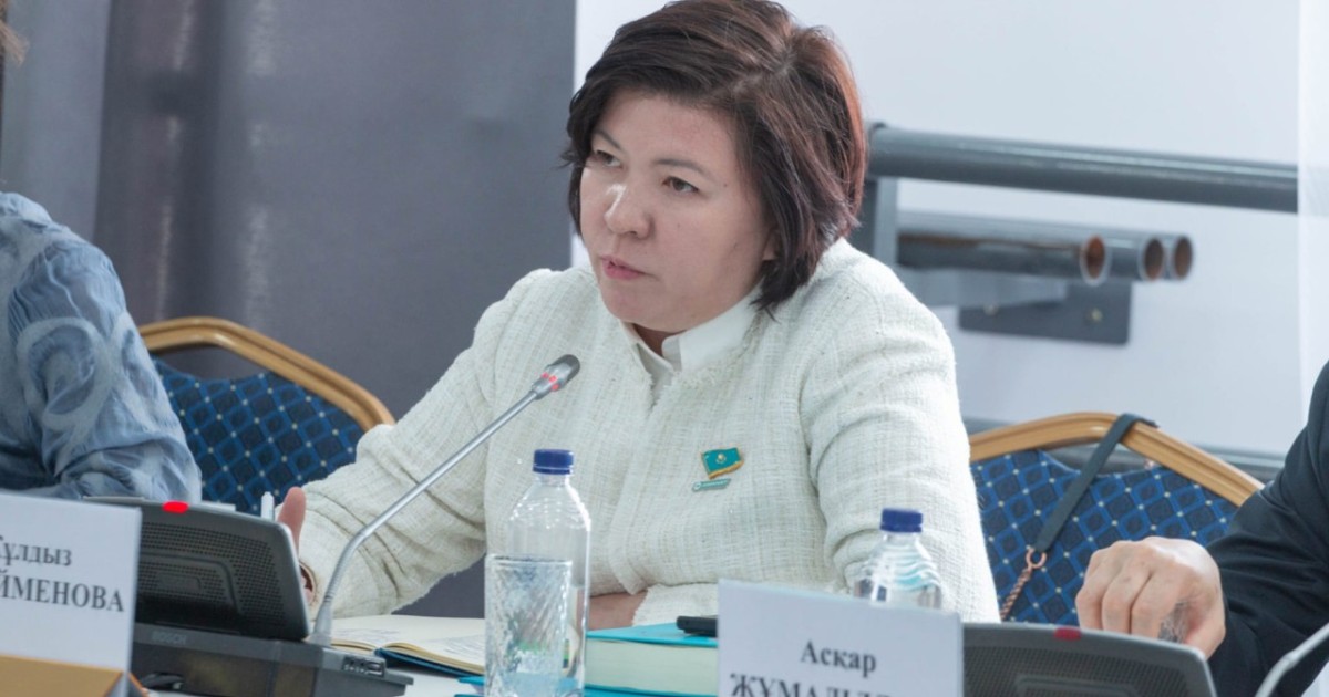 Жаңа Конституция еліміздің саяси құқықтық дамуының жаңа кезеңін айқындайды – министр