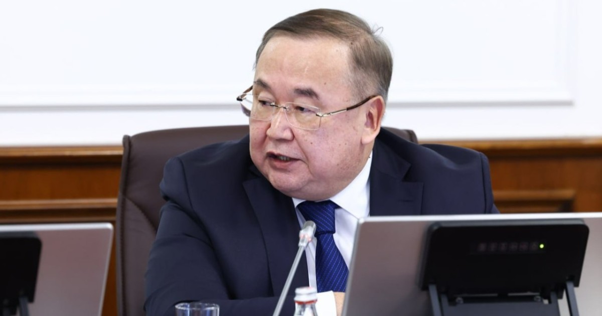 Жаңа Конституция жобасы ғылым мен адам әлеуетін дамытуға жол ашады — академик Эрлан Батырбеков