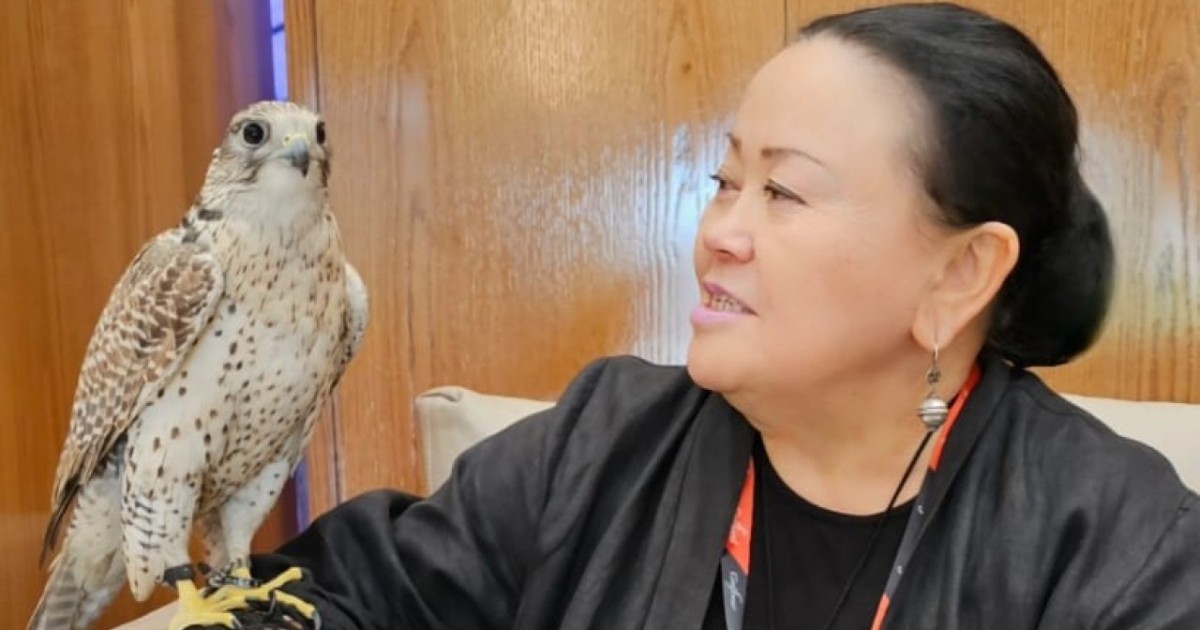 Ырза Тұрсынзада: Жобада зияткерлік еңбекті қорғау мәселесіне ерекше көңіл бөлінген