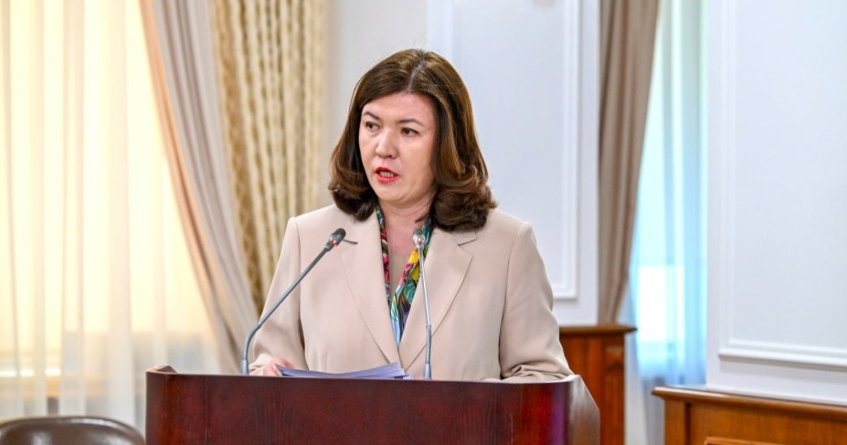 Экологиялық ағарту мен табиғатты қорғау қағидаттары жаңа Конституцияда нақты бекітілген – министр