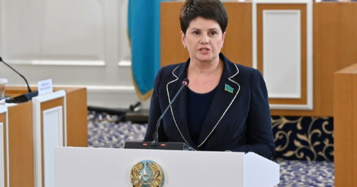 Конституциялық комиссияда жаңа Ата заңды бүкілхалықтық референдумға шығару ұсынылды