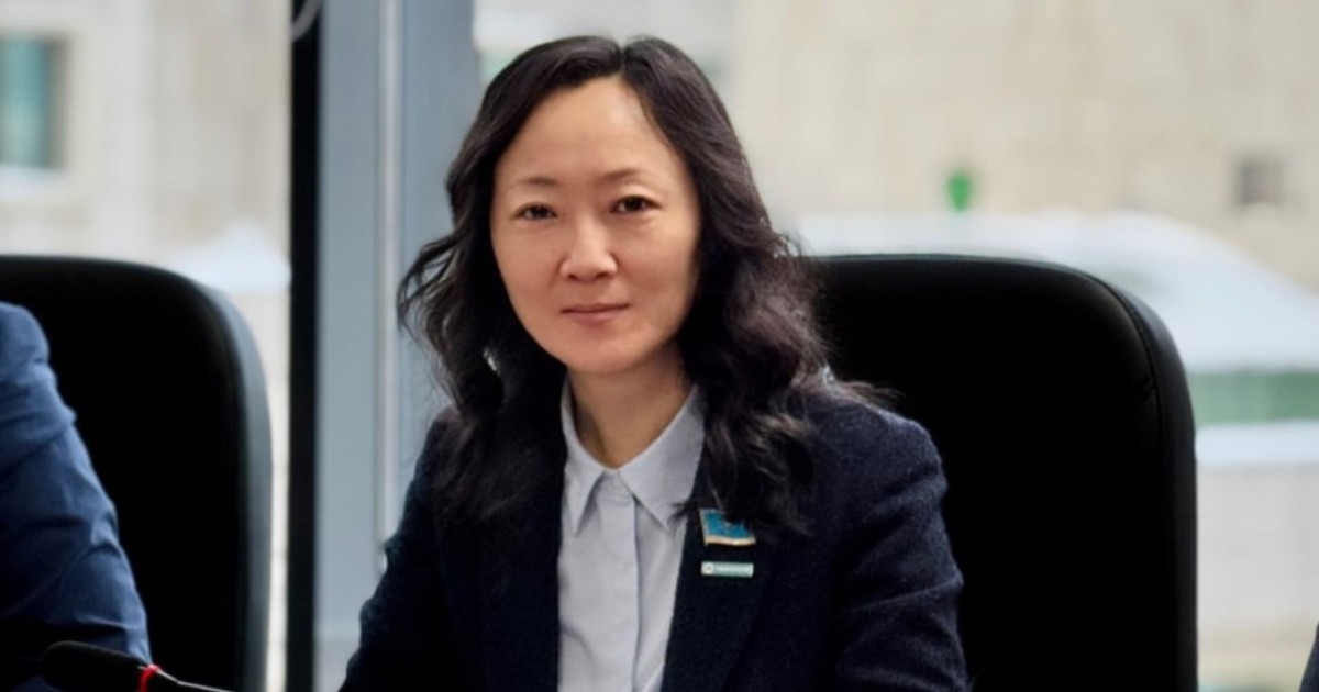 Конституция қоғаммен диалог негізінде қалыптасып жатыр - Вера Ким