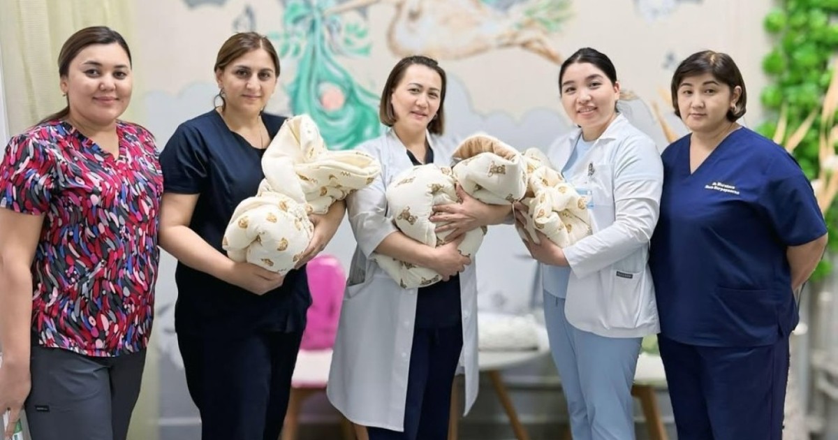 Зере, Дара және Сара: Түркістан облысында үшем дүниеге келді