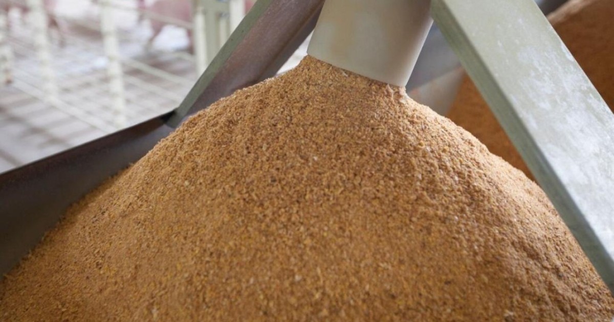 Қытайға жемдік ұн тиелген контейнерлік пойыз жөнелтілді