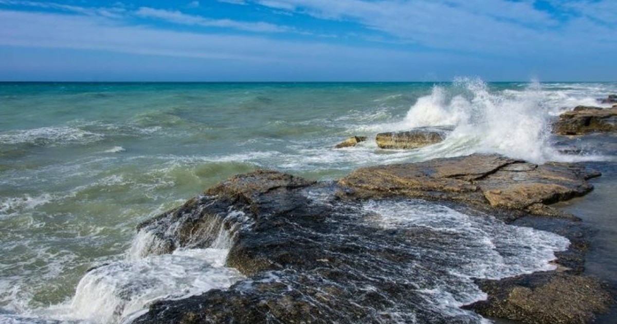 Үкімет Каспийді зерттеуге және сақтауға 1,1 млрд теңге бөлді