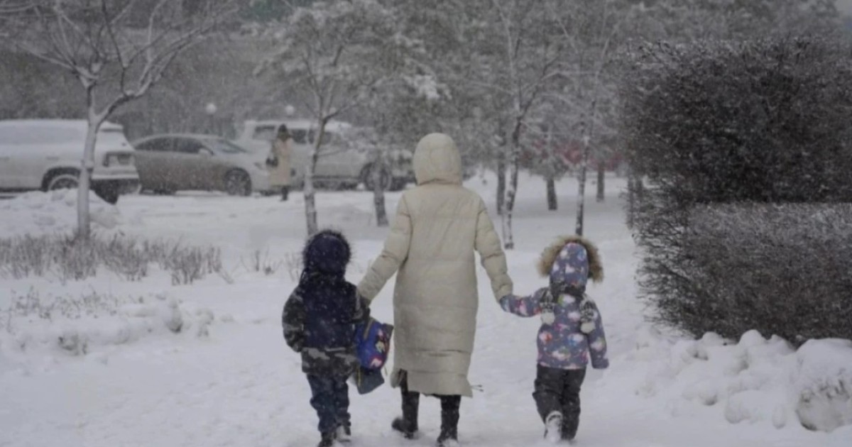 Ертең елордада оқушылар мен студенттер қашықтан оқиды