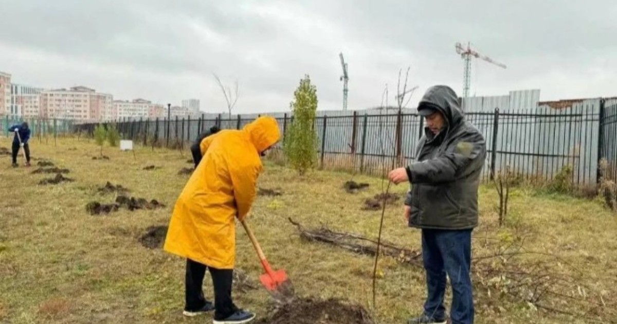 Сәбилерге арнап ағаш отырғызу: Астанада Жаңару күні қалай өтеді