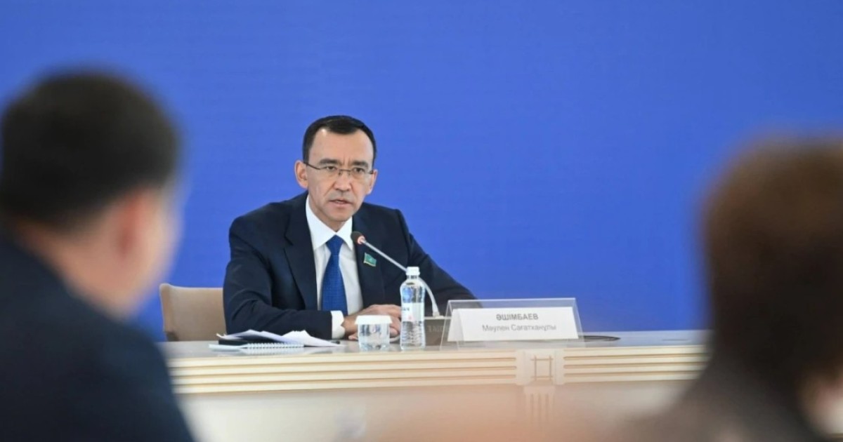 Президенттік реформалар жаһандық өзгерістер ағынының ажырамас бөлігіне айналды - Мәулен Әшімбаев