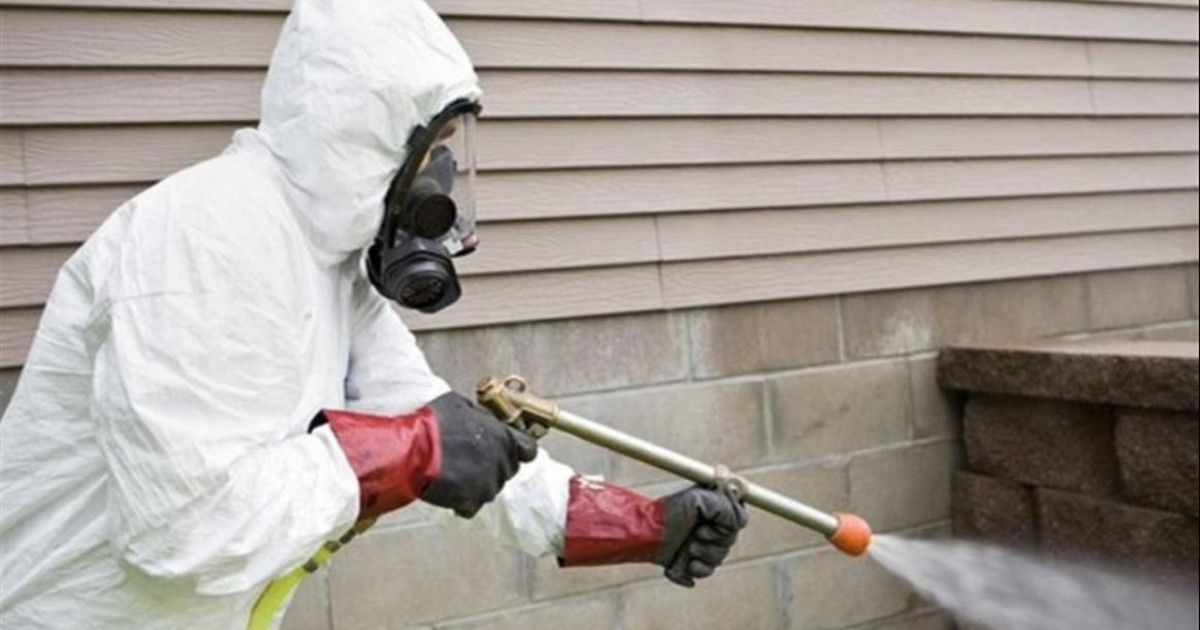 Астанада көктемгі кеміргіштерге қарсы шаралар басталды