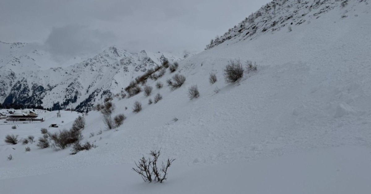 ТЖМ еліміздің бірнеше өңірінде болуы мүмкін қар көшкінінің қаупі туралы ескертті