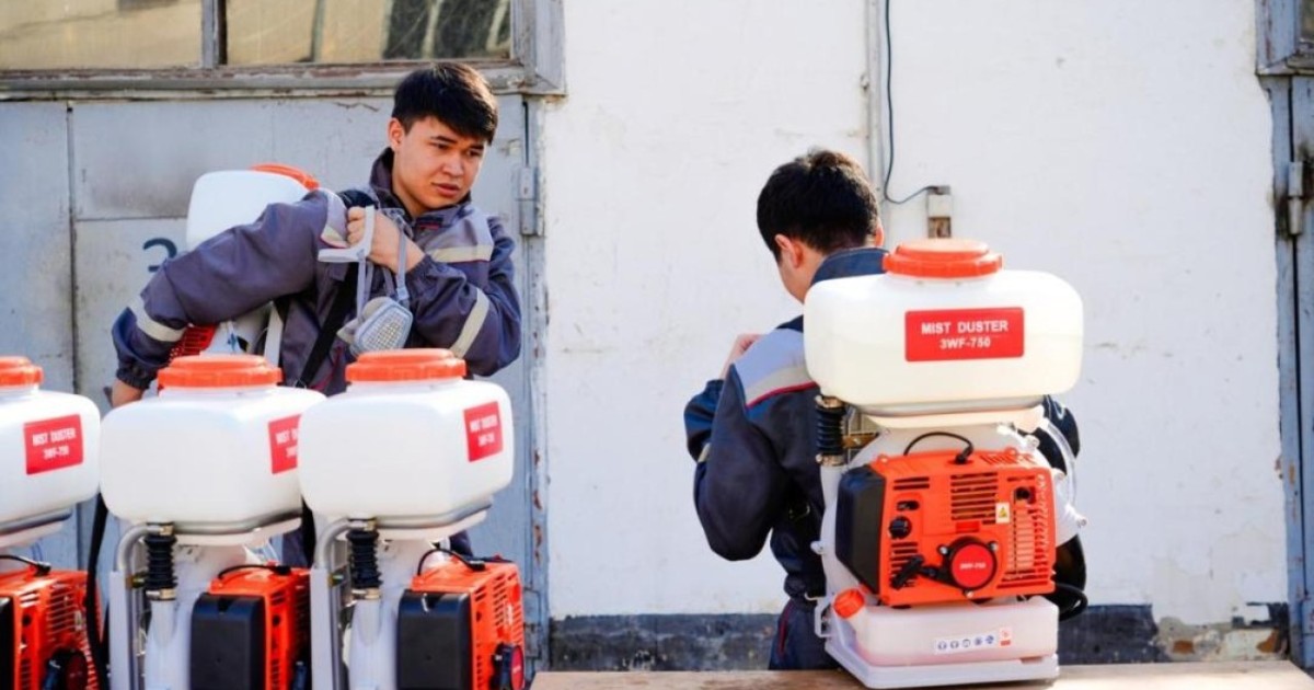 Астанада маса мен шіркейге қарсы күрес алты кезең бойынша жүргізіледі