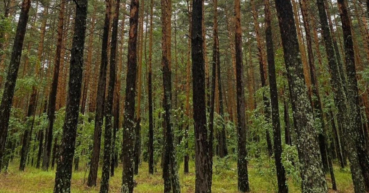 Eлімізде курортты өңірлерді дамытудың 2026-2029 жылдарға арналған Жол картасы бекітілді