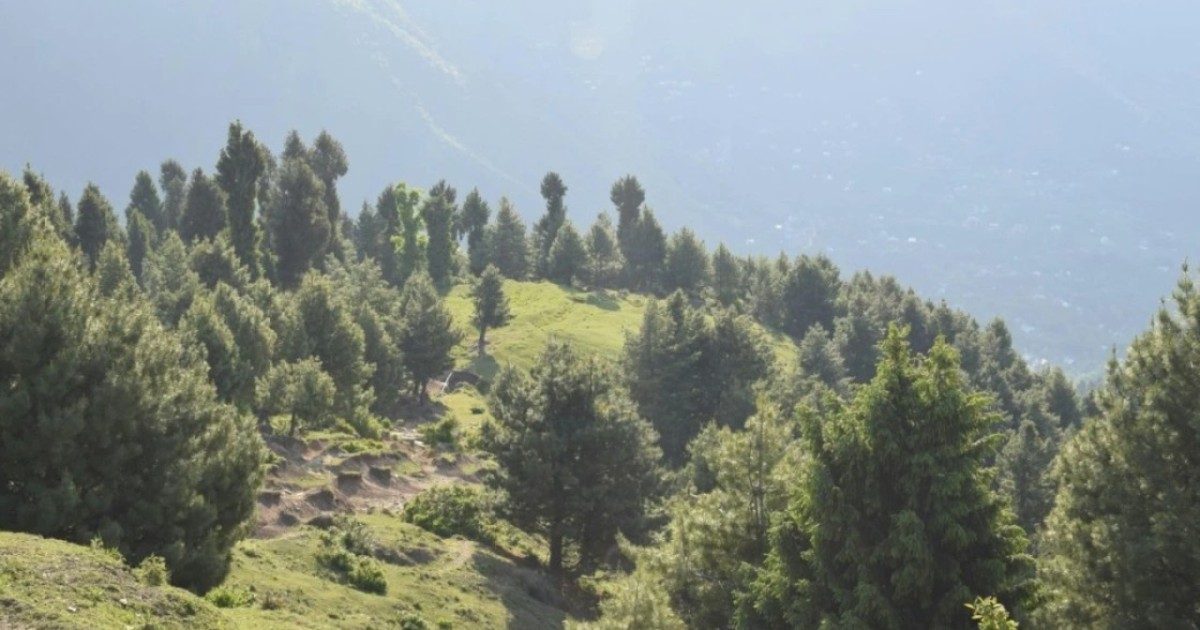 «Медеу» маңындағы 288 гектар жер телімі мемлекетке қайтарылды