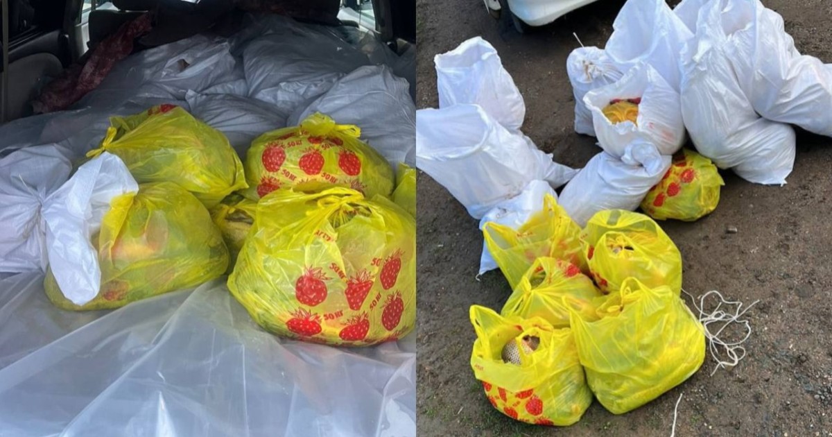 БҚО-да 400 келіге жуық заңсыз ауланған балық тәркіленді