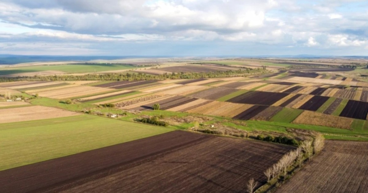 Қостанай облысында 1,1 мың гектар жер мемлекет меншігіне қайтарылды