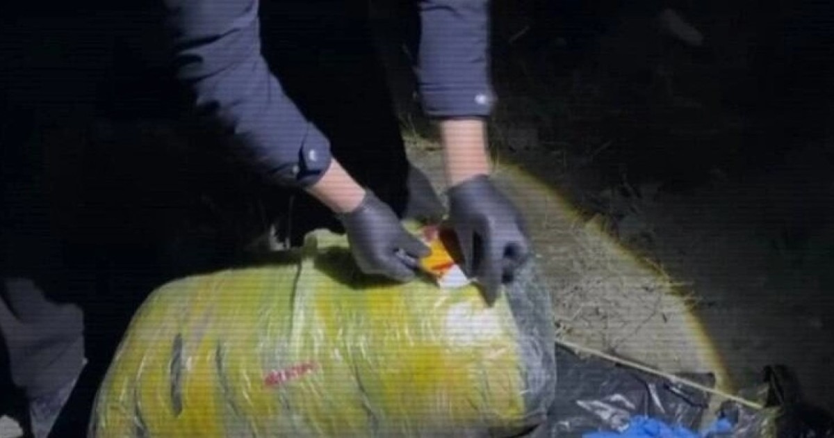 Жыл басынан бері ІІМ үш тоннаға жуық есірткінің айналымға шығуына тосқауыл қойды