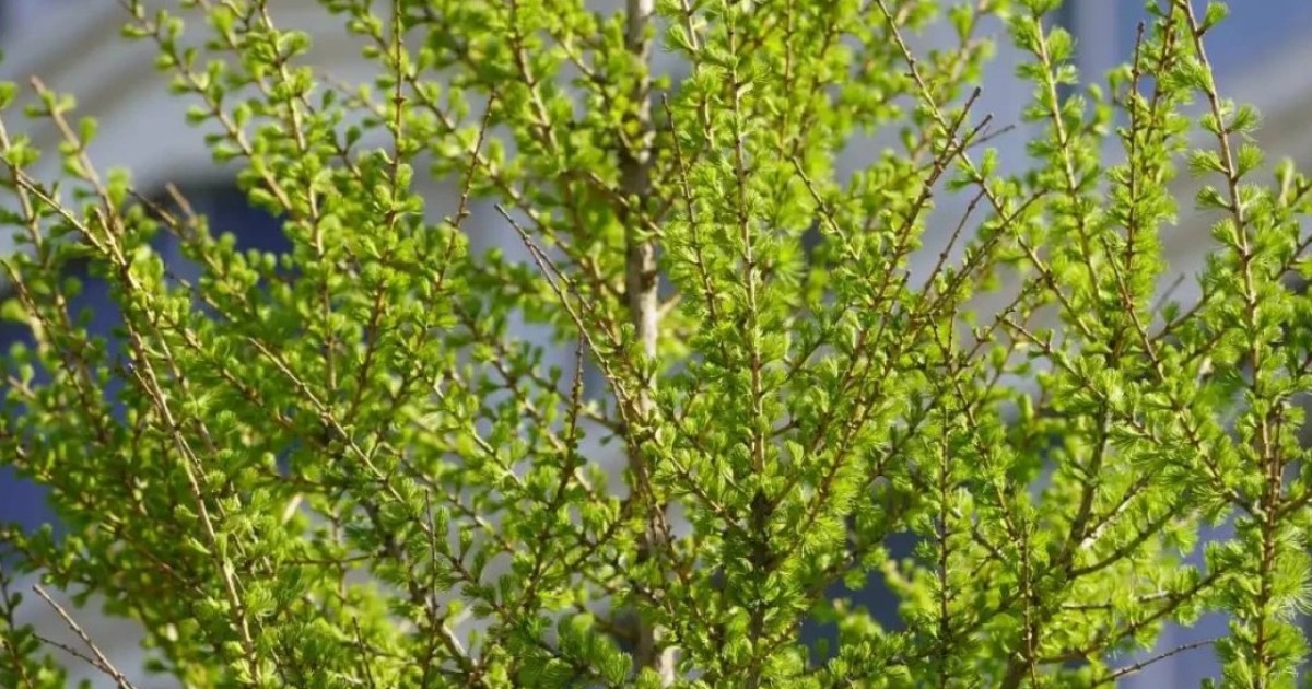 Мамыр айында қазақстандықтар қанша күн демалады