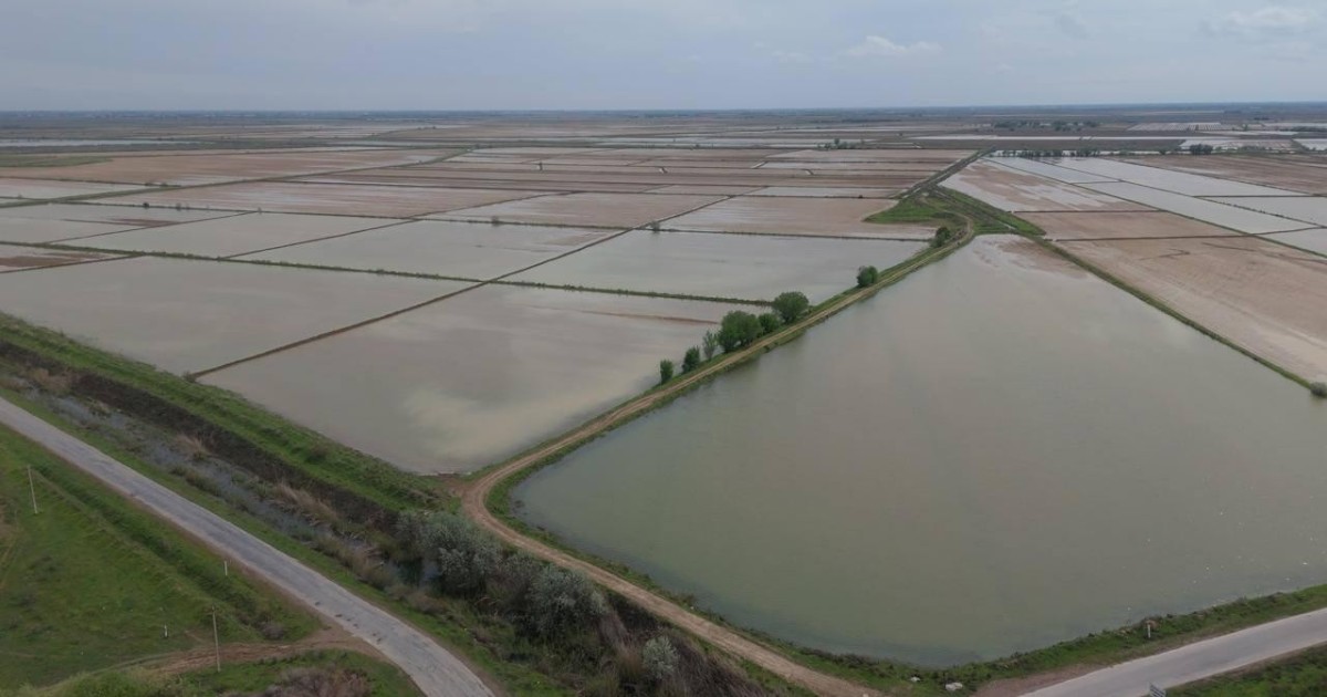 Түркістан облысында сор шаю үшін 400 млн текше метр су берілді