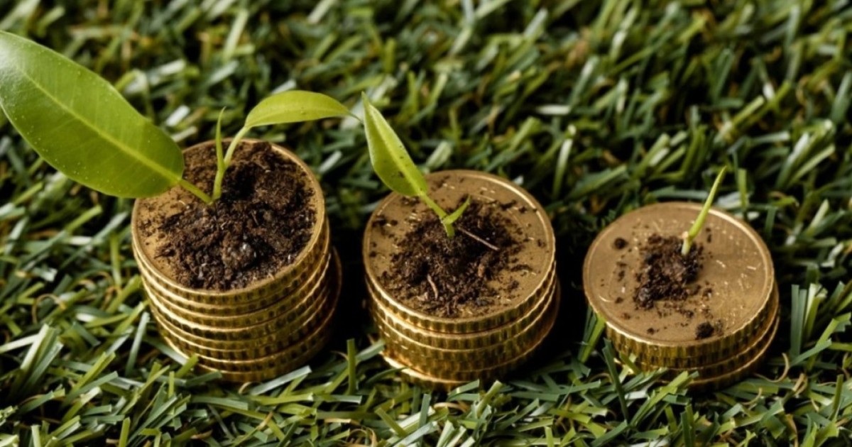 Шаруаларға дала жұмыстары үшін 612 млрд теңге көлемінде жеңілдетілген несие берілді