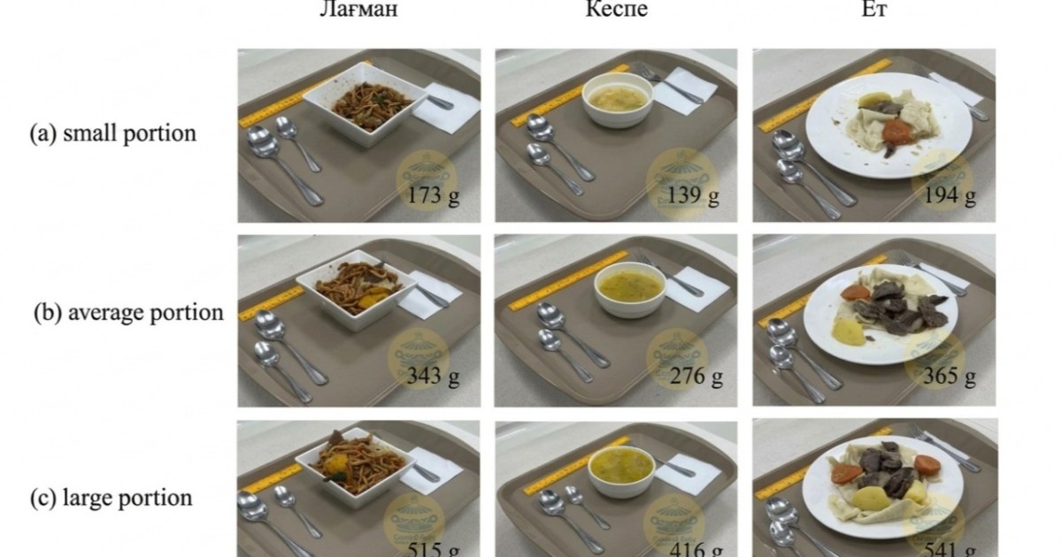 Қазақстан ғалымдары күнделікті тағамдардың нақты порциясын есептеп шықты