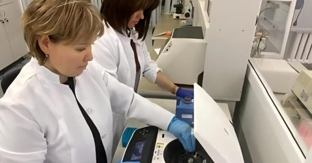 Ел ғалымдары жаңа астық сорттарына патент алды