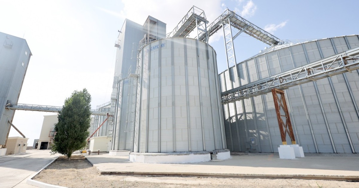 Үкімет инвестиция келісімін мақұлдады: Ақмола облысында астықты терең өңдеу зауыты салынады