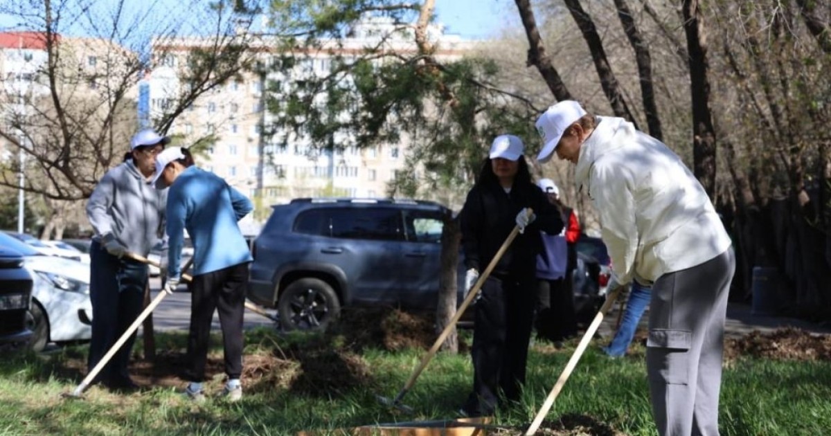 Астанада «Таза Қазақстан» акциясы жалғасуда: шығармашылық ұжымдар экоакцияға қосылды