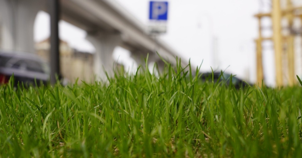 Бүгін түнде Астанада топырақ бетінде үсік болуы мүмкін