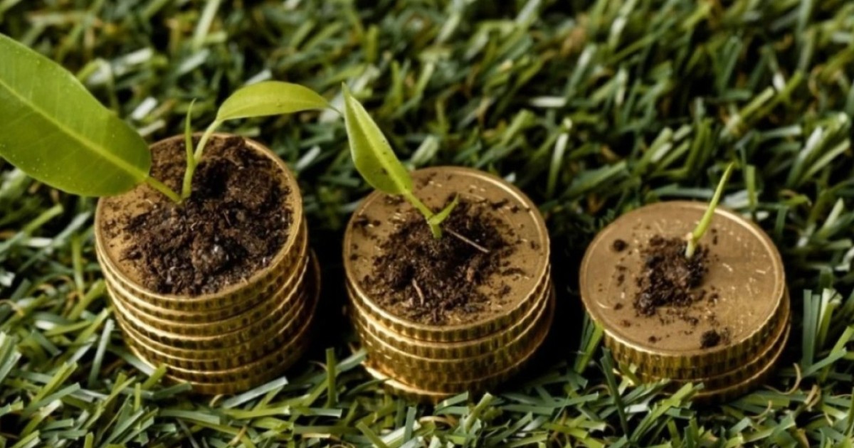 Аграрлық сала өкілдері 600 млрд теңгеден астам жеңілдетілген несие алды