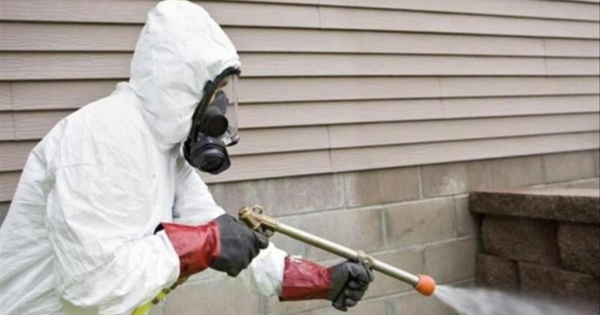 Елордада кеміргіштерге қарсы күрес екі маусымда өтеді