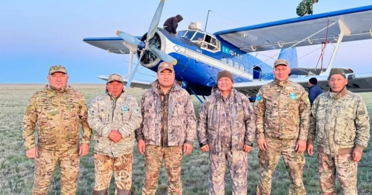 Қорғалжын қорығында қанша киік бар екені белгілі болды