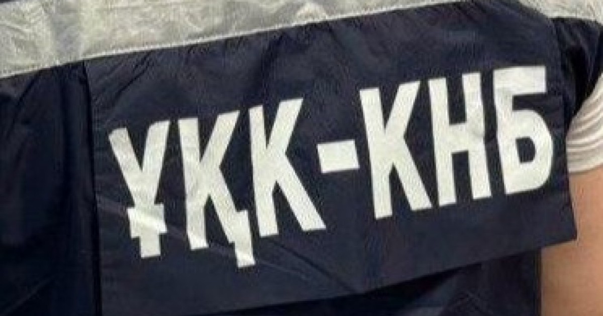 Түркістанда шекарадан жедел өткізу үшін заңсыз делдалдық ұйымдастырған топ әшкереленді