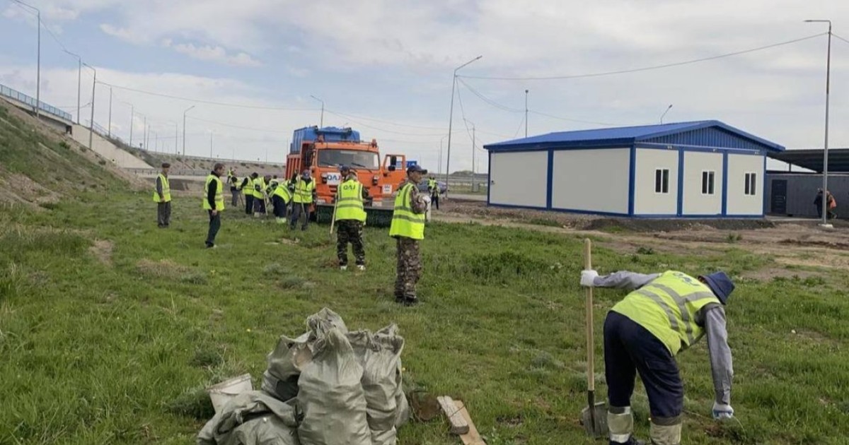 «Таза Қазақстан»: Республикалық автожолдар бойына 3 мыңға жуық ағаш көшеті егілді