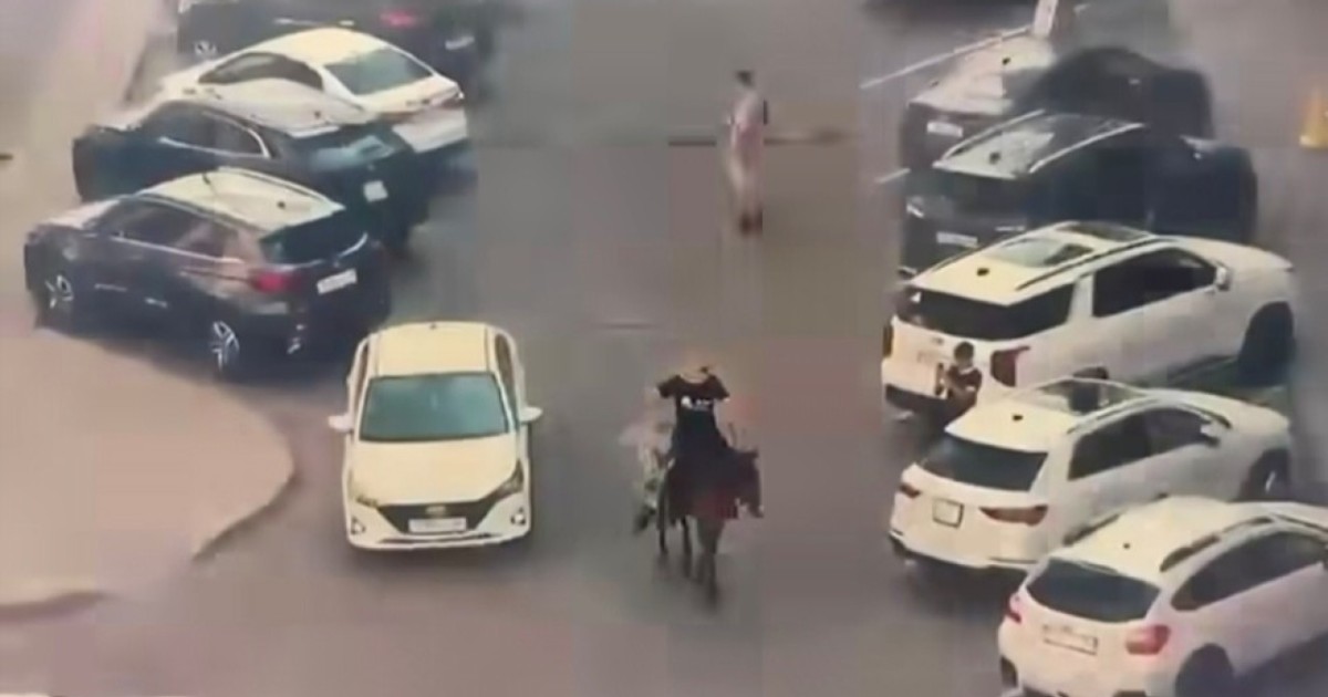 Астанада видео түсіру үшін көшеде атқа мініп жүрген ер адам жауапкершілікке тартылды – ВИДЕО