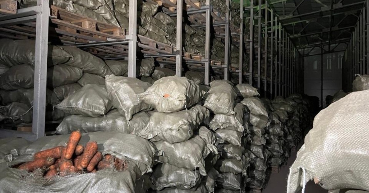 Елімізде 745,6 мың тонна өнім сақтайтын 95 көкөніс қоймасы іске қосылды