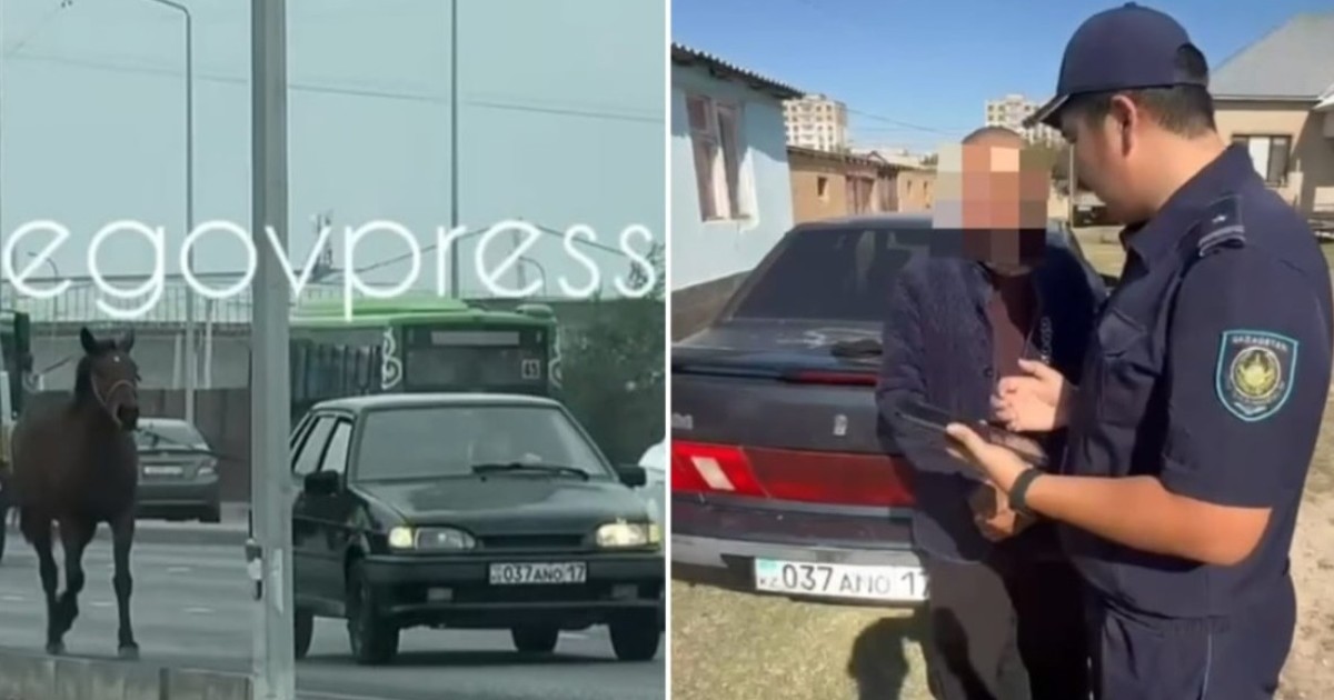 Шымкентте жылқыны көлікке байлап сүйреген жүргізуші жауапқа тартылды