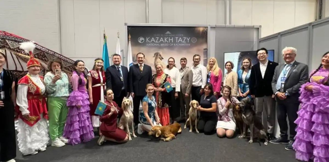 Қазақ тазысы алғаш рет Дүниежүзілік иттер көрмесінде таныстырылды