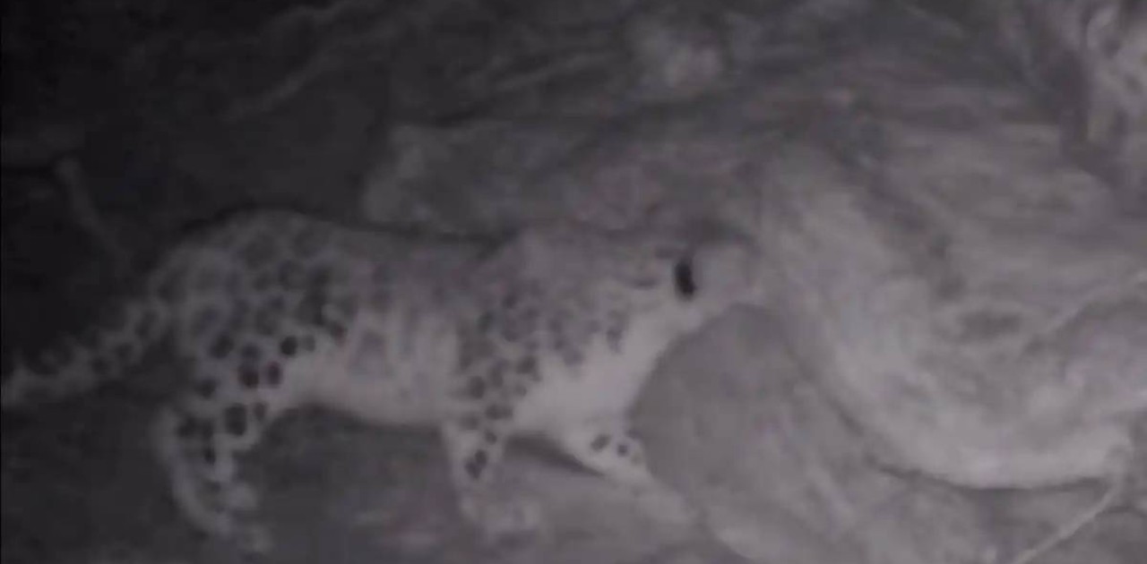 «Көлсай көлдері» ұлттық паркінде қар барысы фототұзаққа ілікті