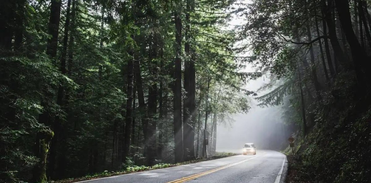 Қазақстанда саяхаттауға арналған TravelStan мобильдік қосымшасы іске қосылады