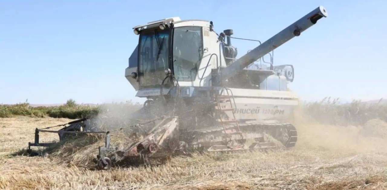Жетісу облысында 4 мың тонна күріш жинау жоспарланып отыр