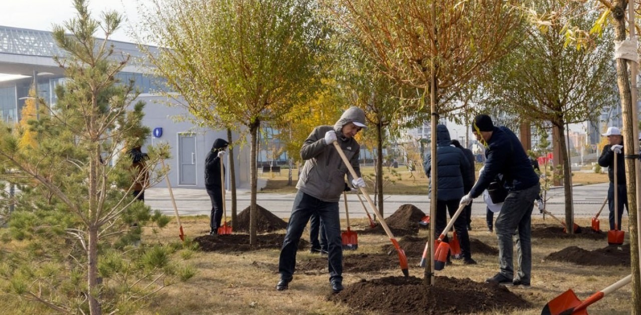 Президент тапсырмасы: 2 млрд ағаш 2027 жылға дейін отырғызылады